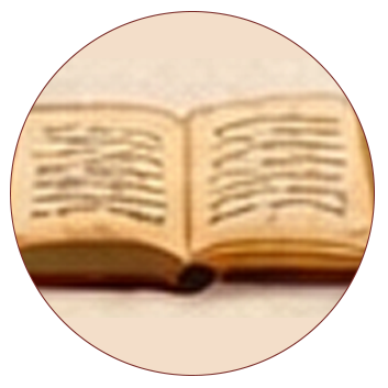 Step-by-step Guidance